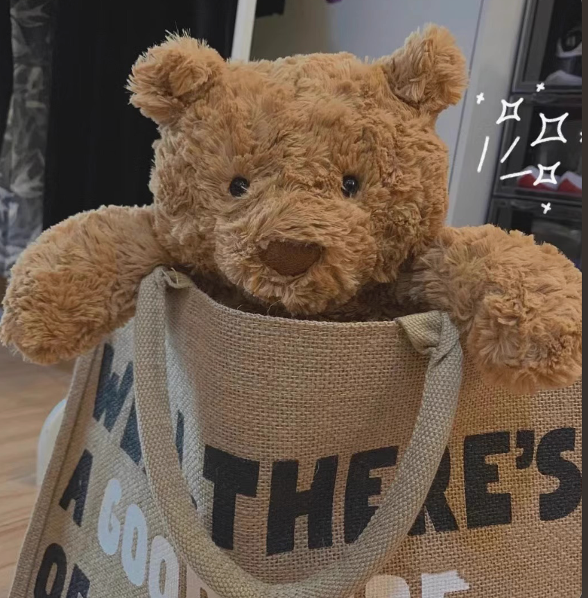 Bartholomew Bear plush toy inside canvas tote bag, portable soft stuffed animal gift